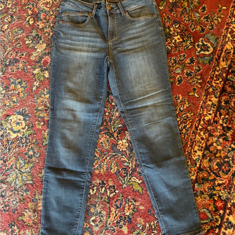 1822 Denim Women's size 10 Skinny Jeans in Blue